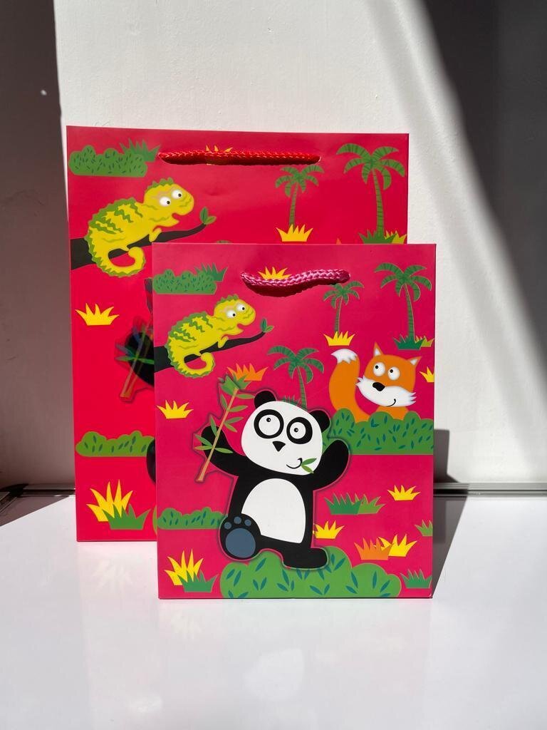 3D Panda Small Gift Bag PK3 (R10.50 Each)