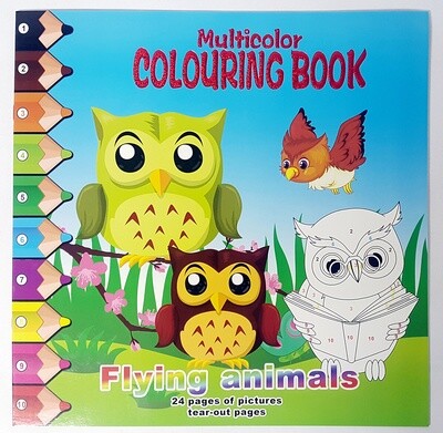 Multi - Colouring book - Owl