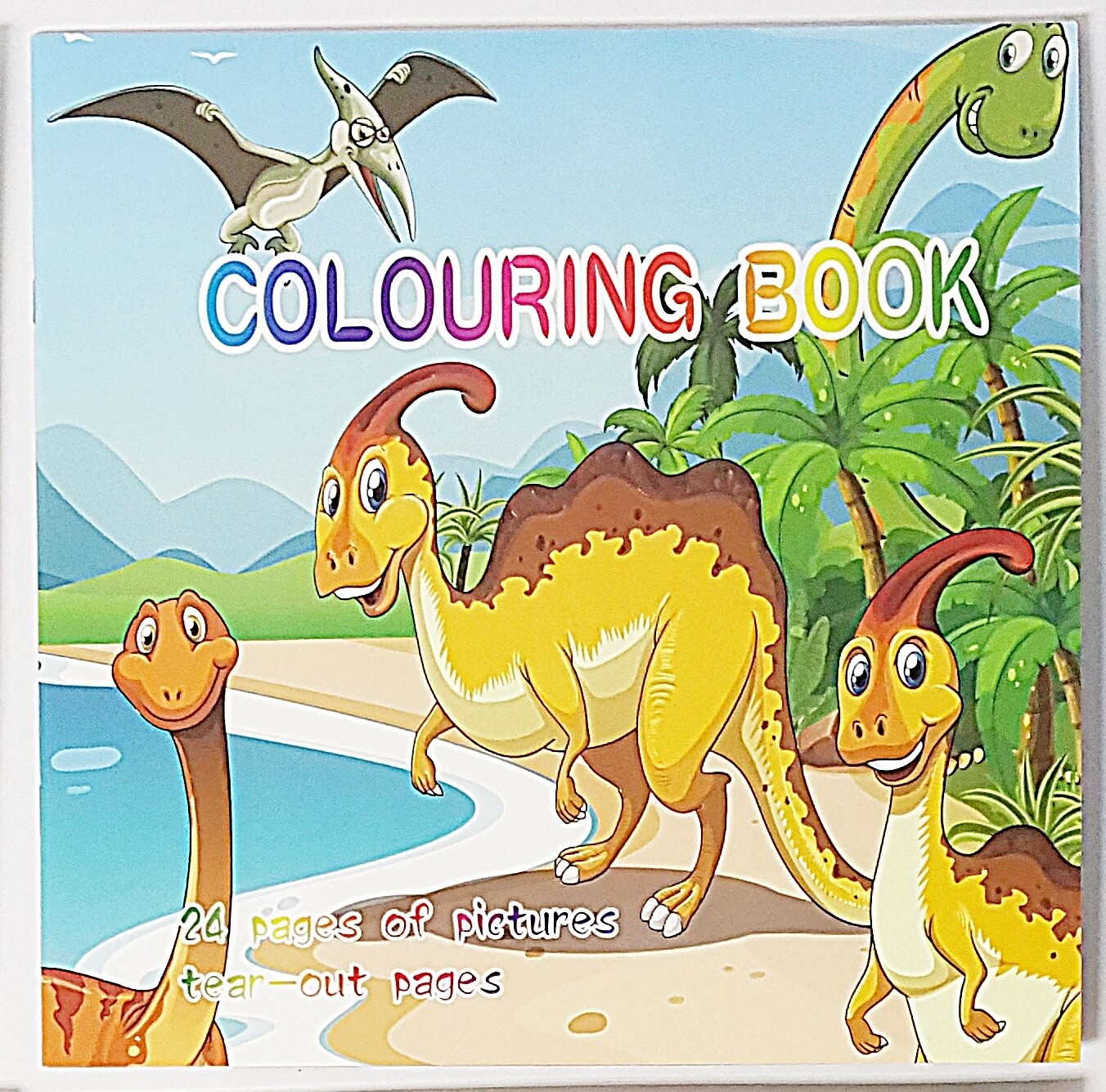 Colouring Book 24 Tear Out Pages - Dinosaur