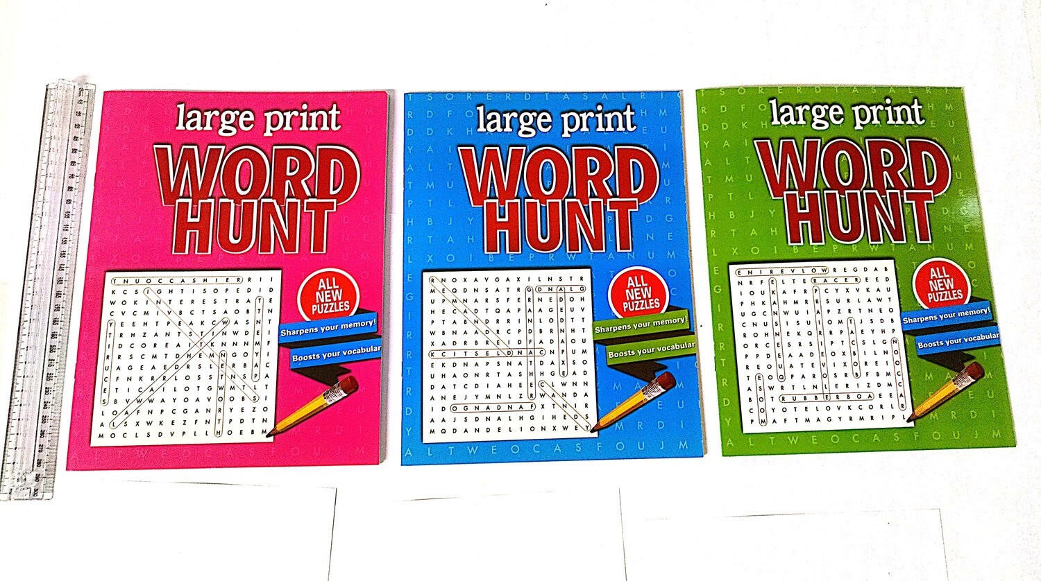 Large Print Word Hunt (R15 each)