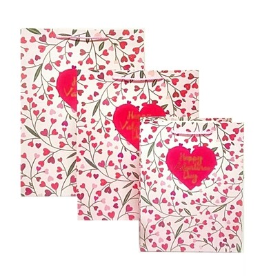 Happy Valentines Day Medium Gift Bag PK3 (R15.50 Each)