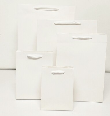 Plain White Medium Gift Bag PK3 (R12.50 Each)