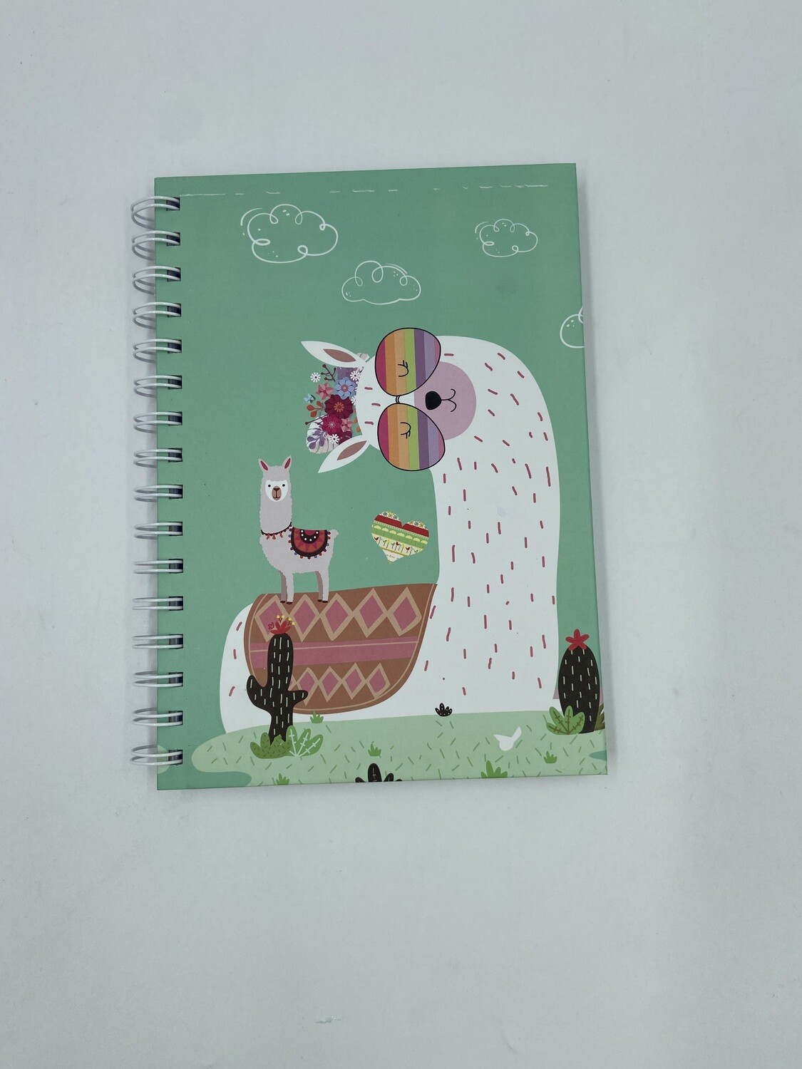A5 Note Book Llama with Glasses Green