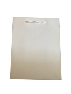 Plain White Gift Bag Medium Pk3 (R12.50 Each)