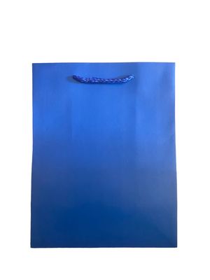 Plain Blue Gift Bags Large PK3 (R15 Each)