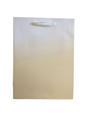 Plain White Small Gift Bag  PK3 (R10 Each)