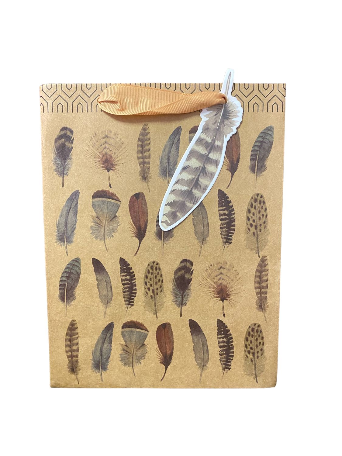 Assorted Feathers with Pattern Khaki Medium Gift Bag PK3 (R22.50 Each)