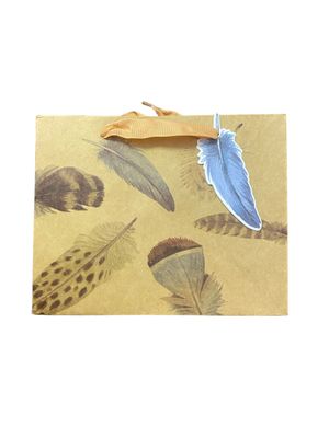 Assorted Six Feathers Khaki Medium Rectangular Gift Bag PK3 (R22.50 Each)