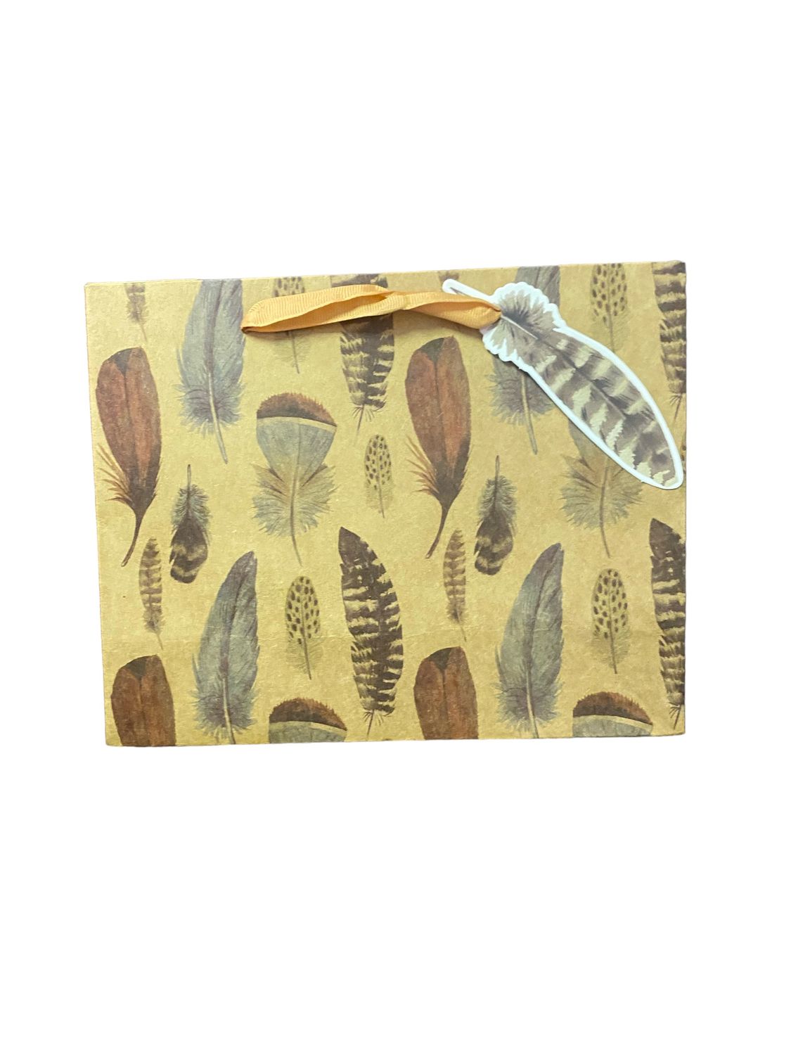 Assorted Feathers Khaki Medium Rectangular Gift Bag PK3 (R22.50 Each)