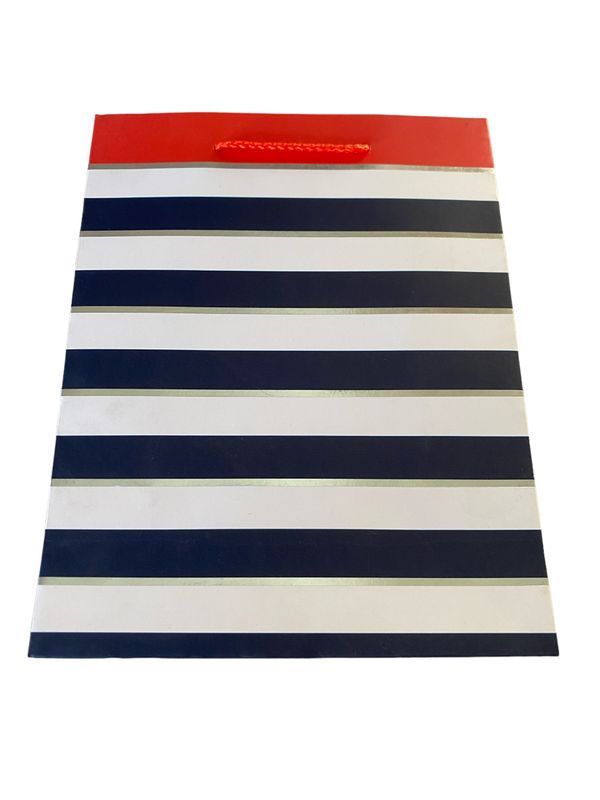 Striped men&#39;s Silver &amp; White Large Gift Bag PK3 (R20 Each)