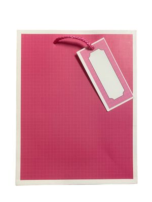 Pink Square Small Gift Bag PK3 (R10.50 Each)