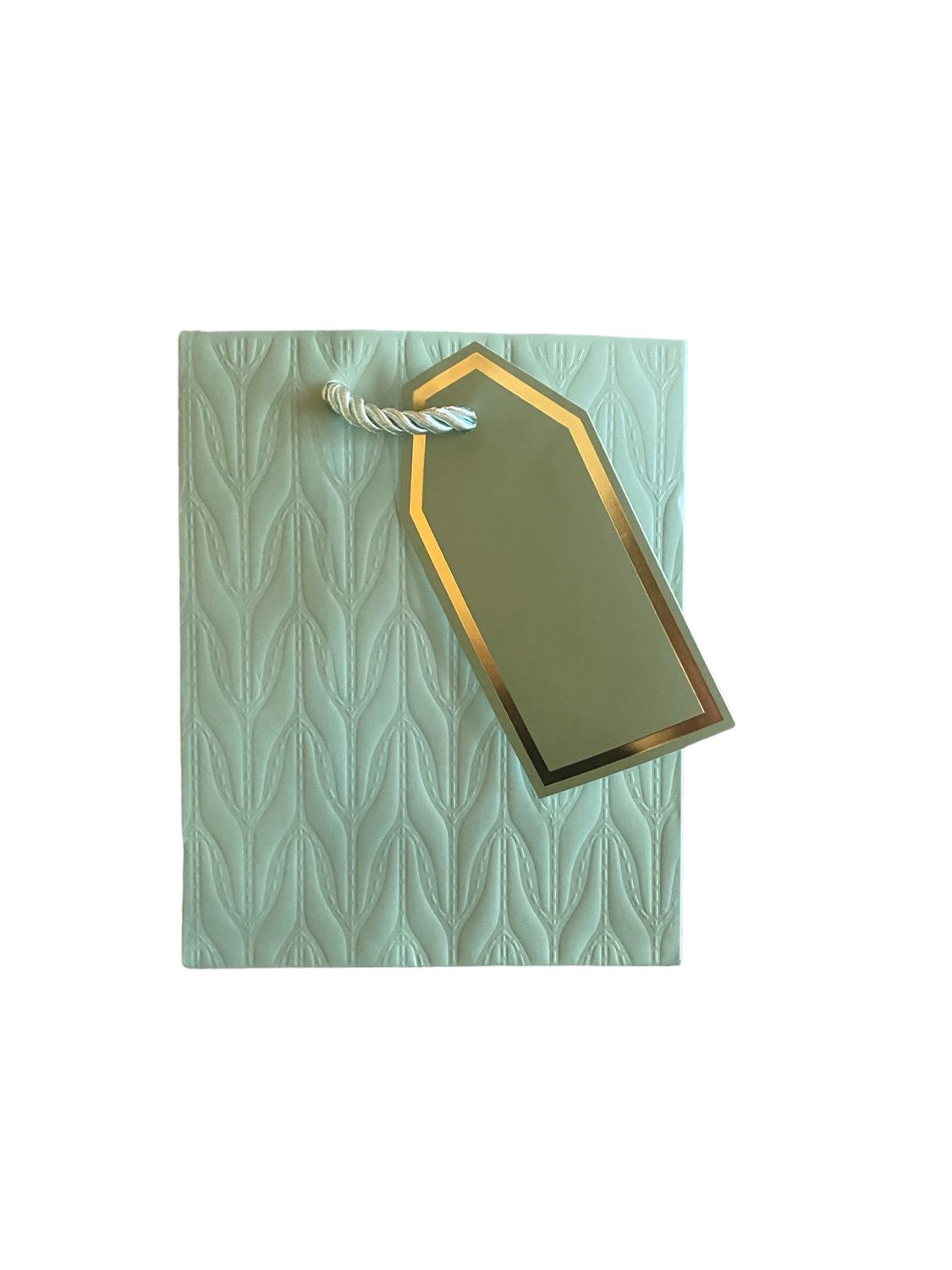Mint Curved Look G/Bag - XS PK 3 R8.50 EACH