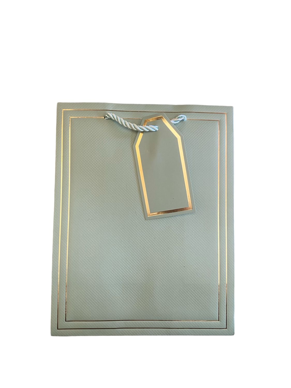 Mint Gift Bag with Gold Edging - S PK3  R10.50 EACH