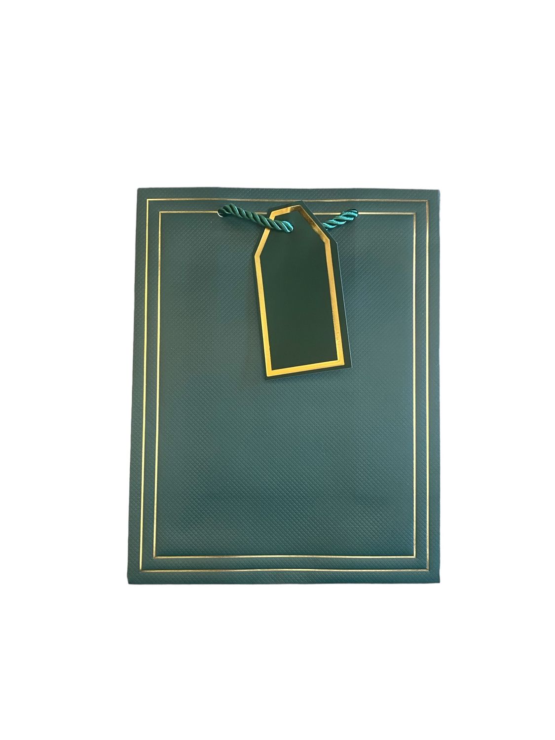 Green Gift Bag with Gold Edging - M (PK 3) R15.50 EACH