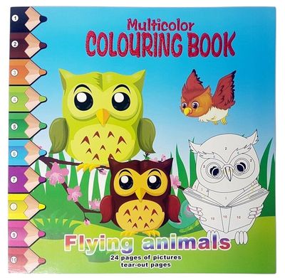 Multi - Colouring book - Owl