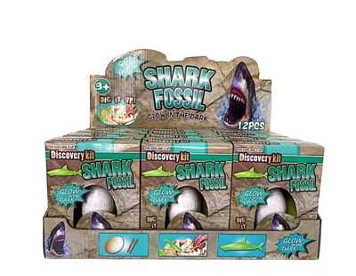 Shark Fossil Glow in the Dark 12PC