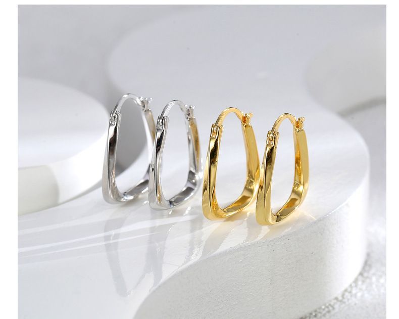 Classic Q Beauty Stainless Steel Earrings