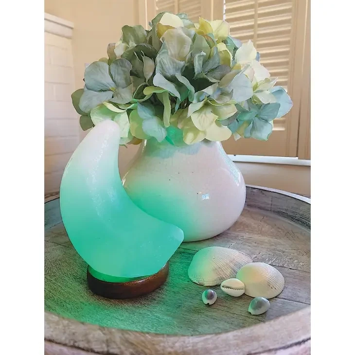 Himalayan Salt Lamp - Moon - White 