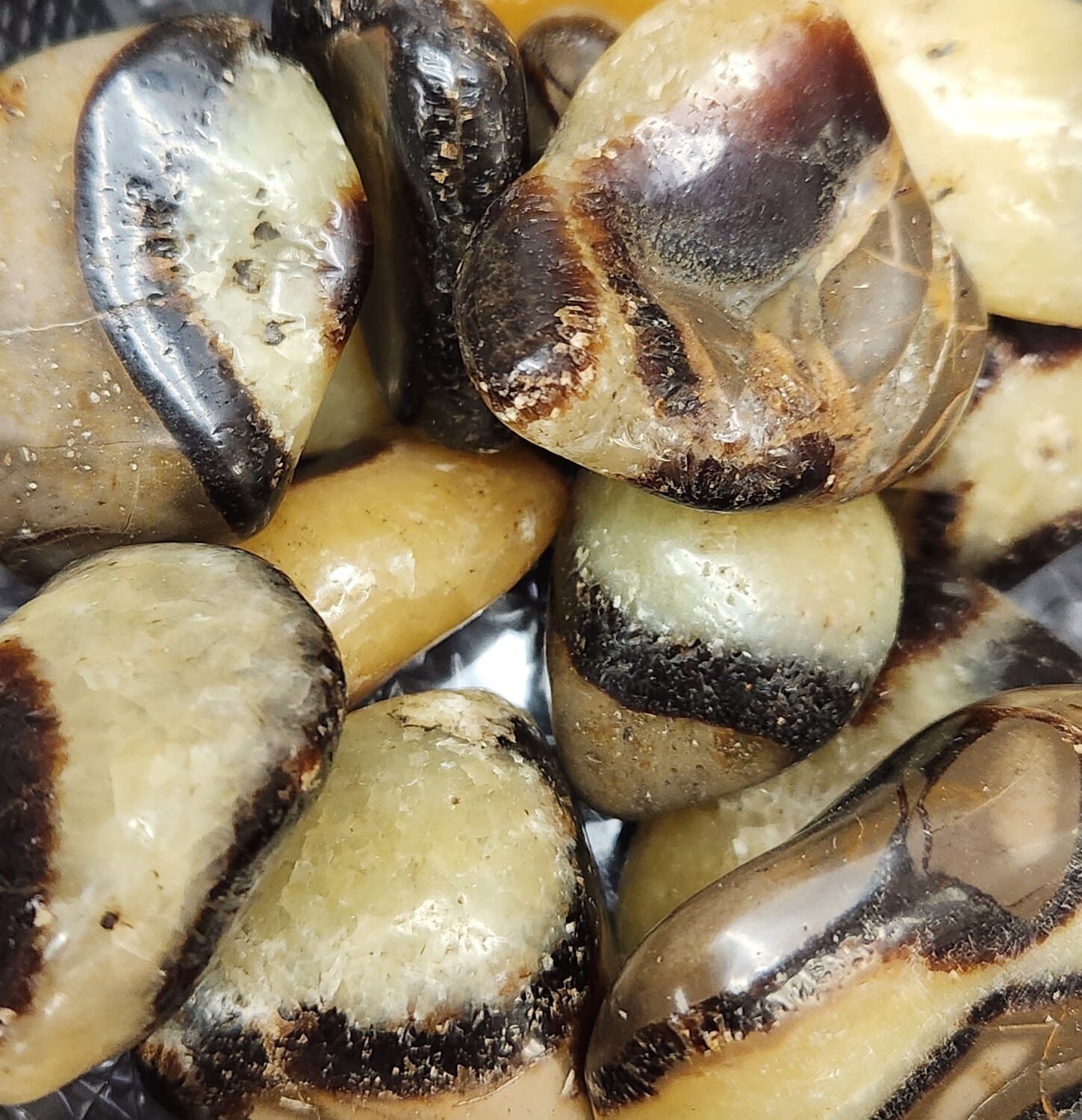 Septarian Tumbles