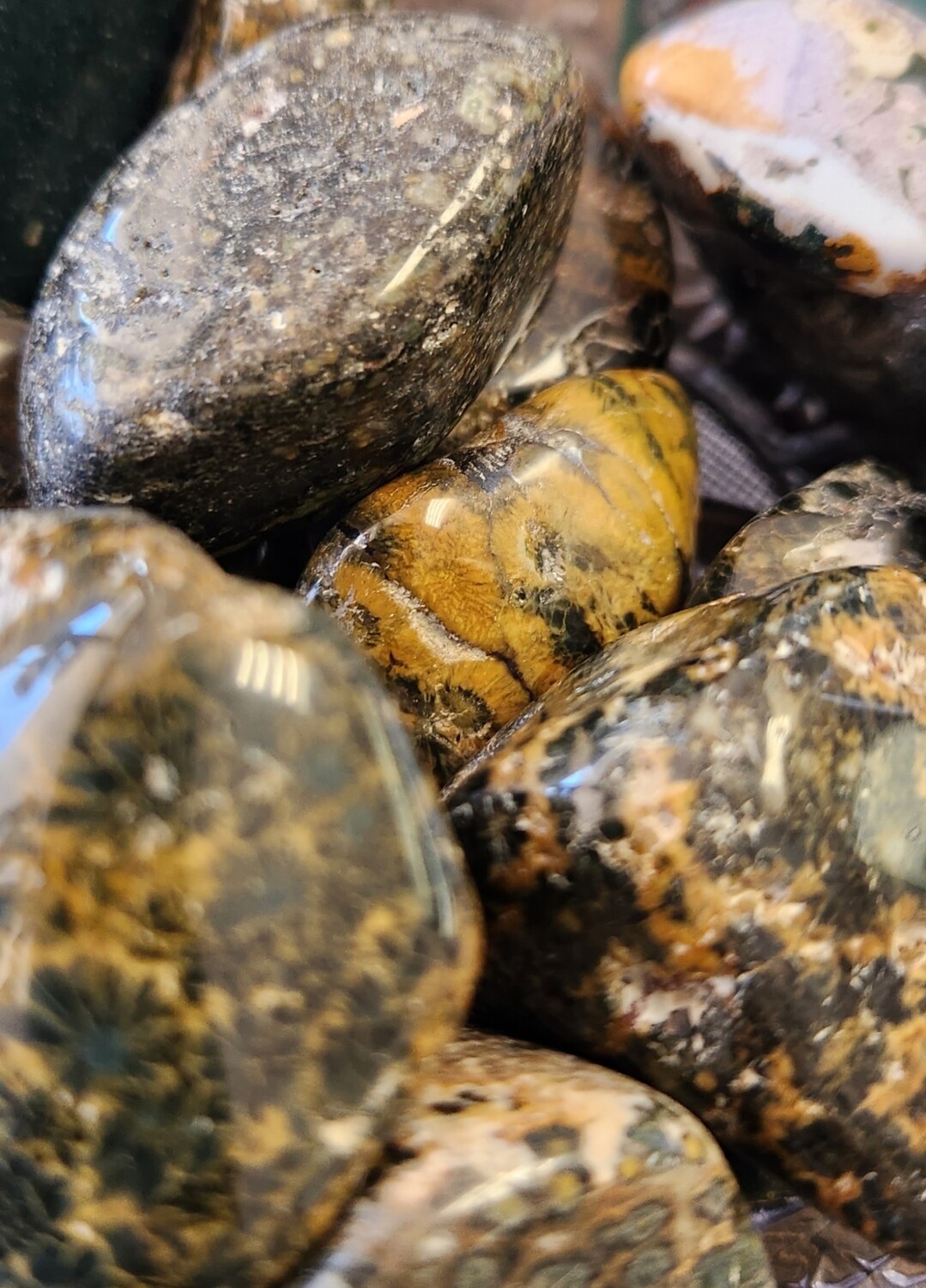 Sea / Ocean Jasper Tumbles