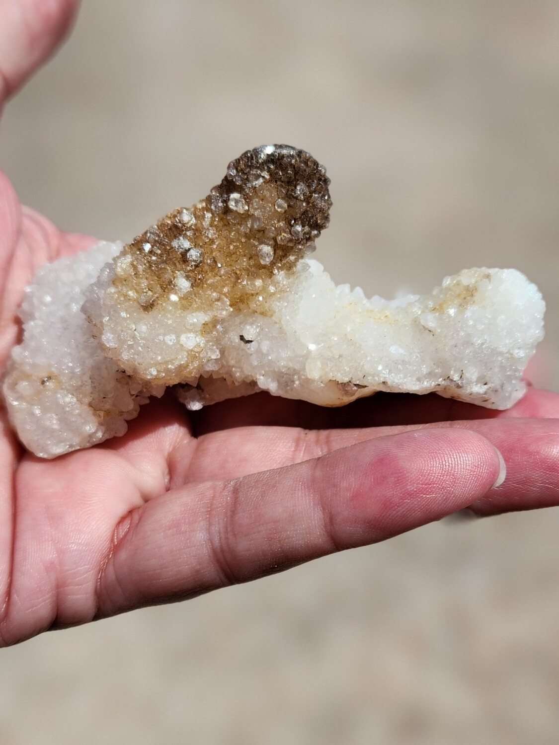MM Quartz 1
