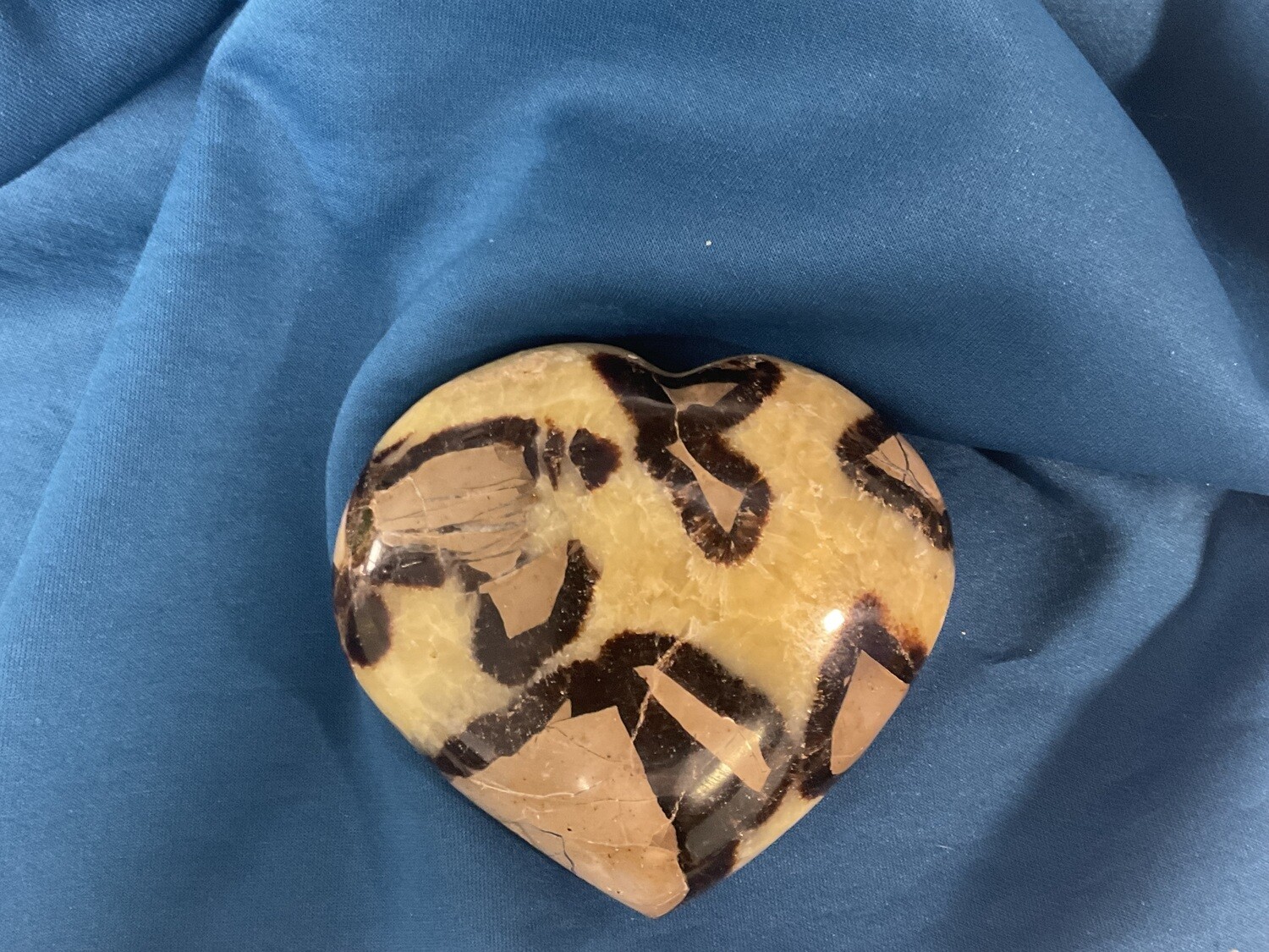 Septarian H