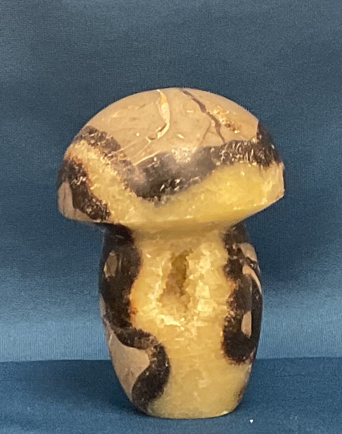 Septarian 80 mm