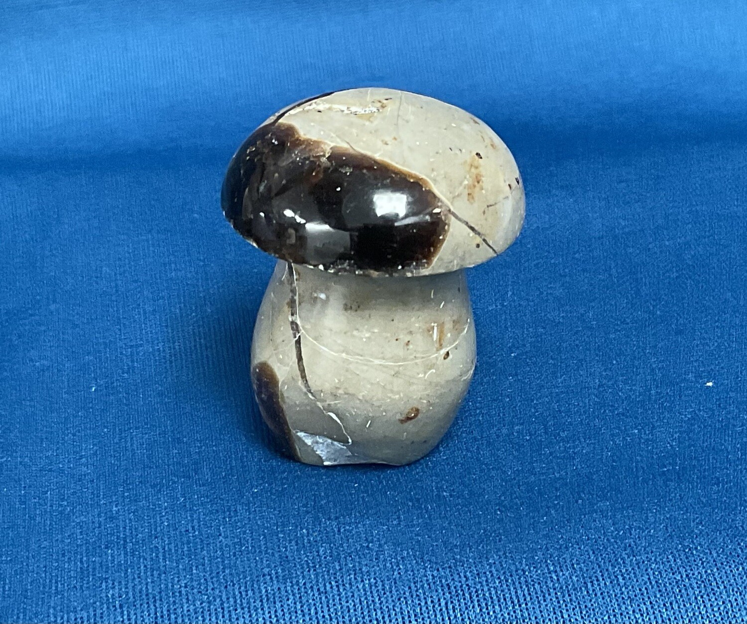 Septarian 43 mm B
