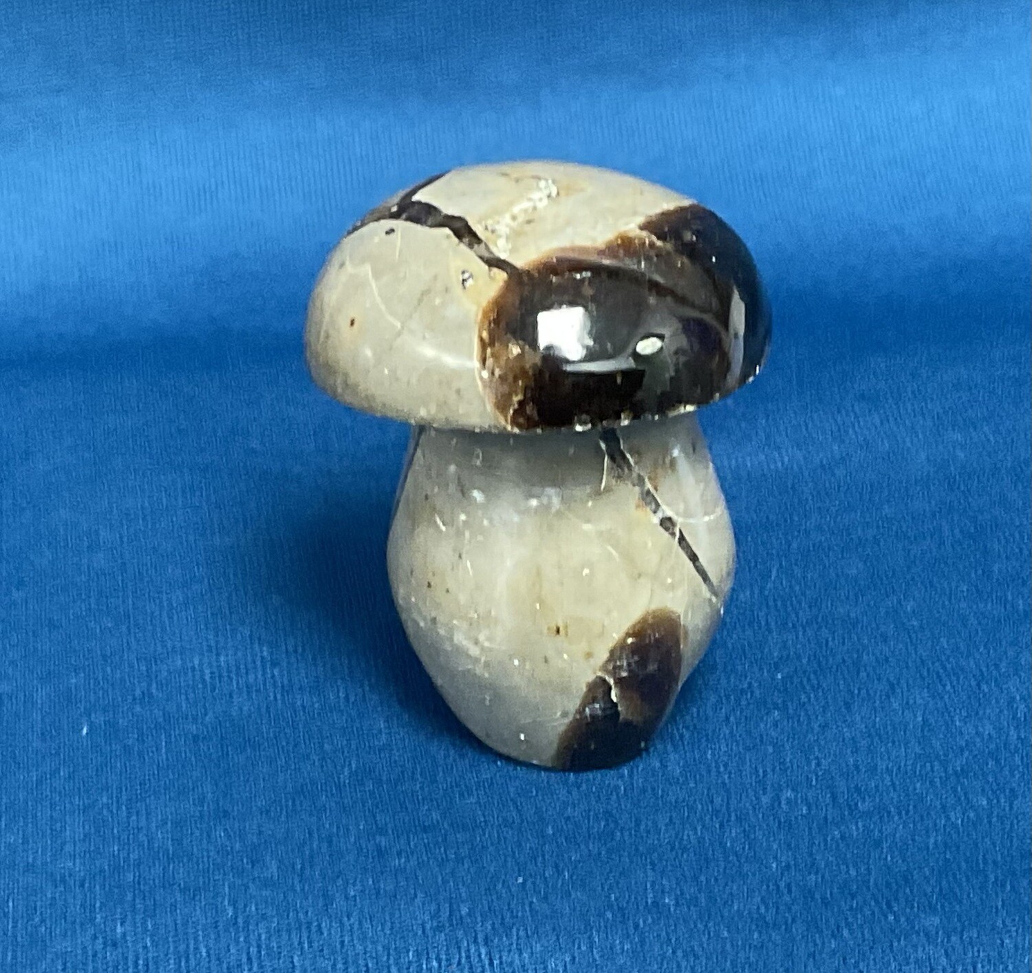 Septarian 43 mm B