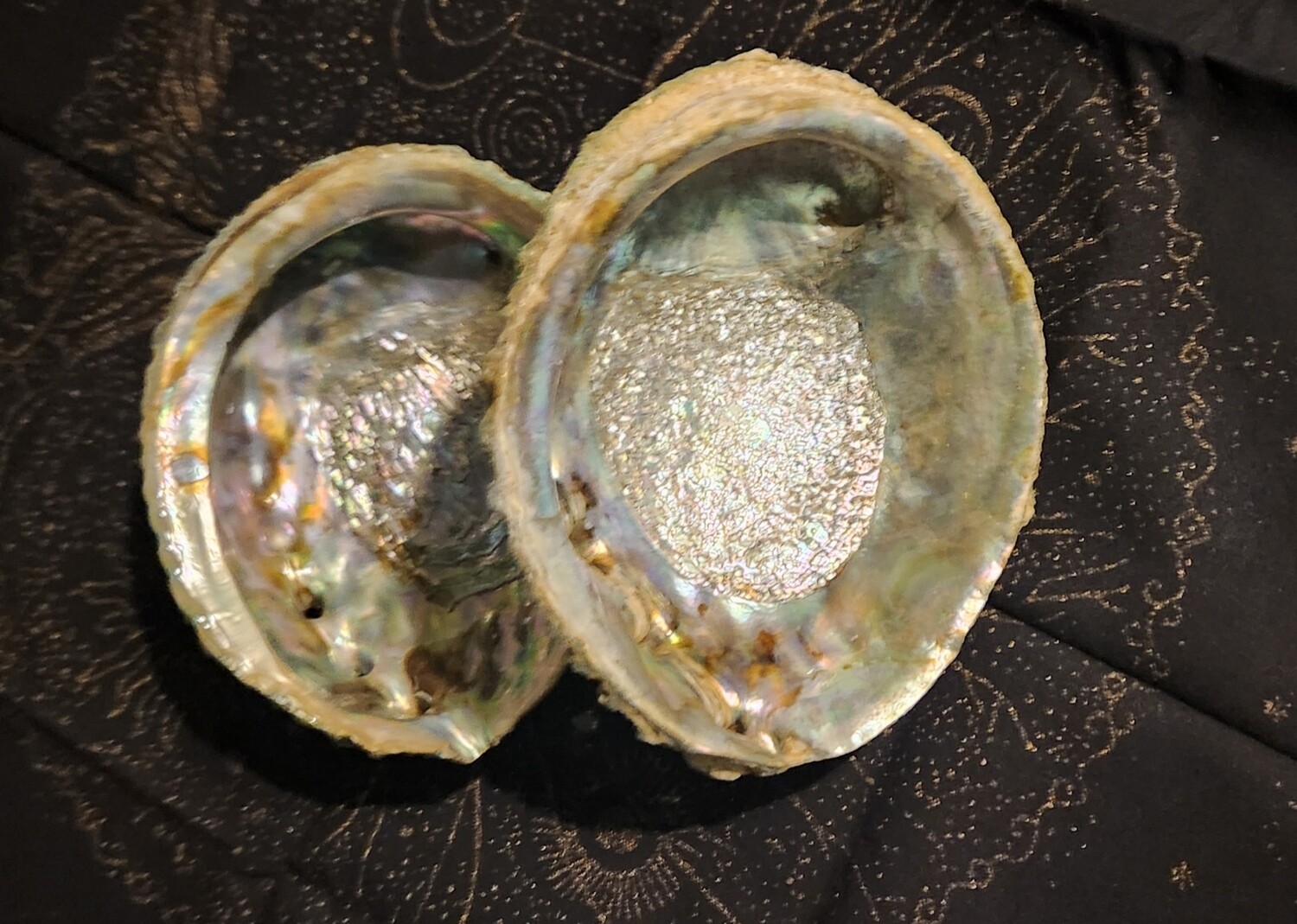 5&quot;- 6&quot;  Abalone Shells Bowl For Smudging