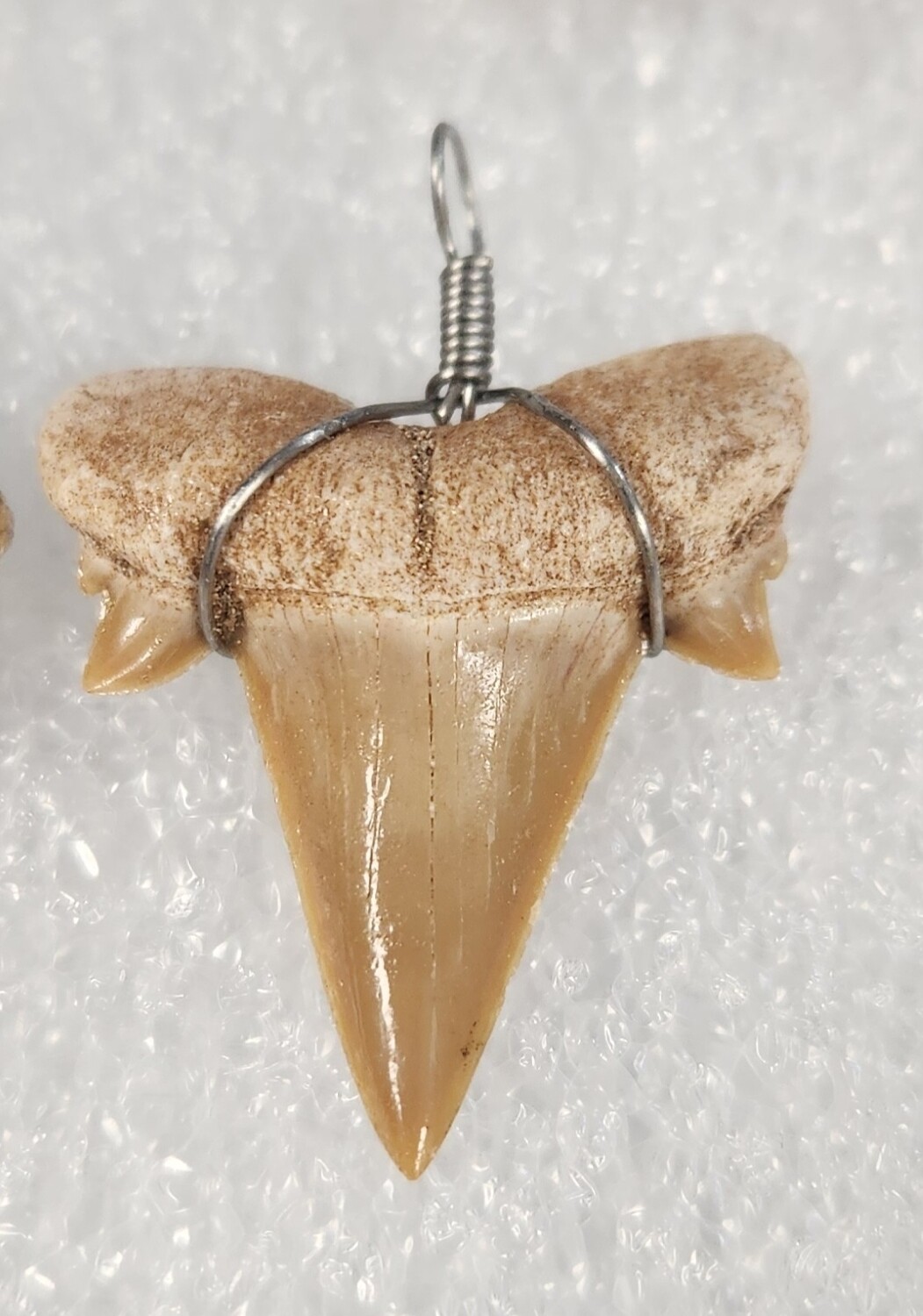 Shark Tooth Necklace