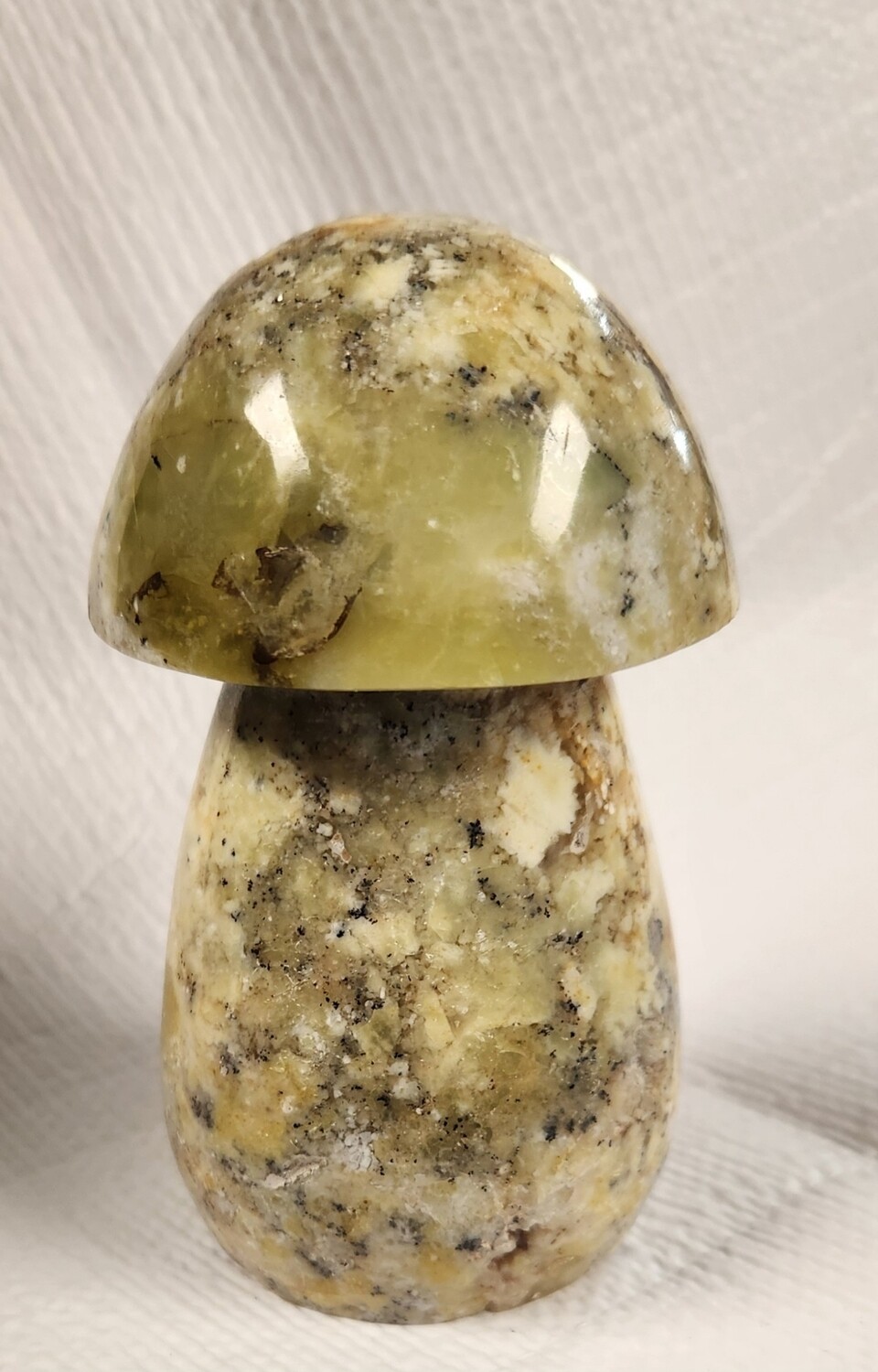 Dendritic Opal Mushrooms I