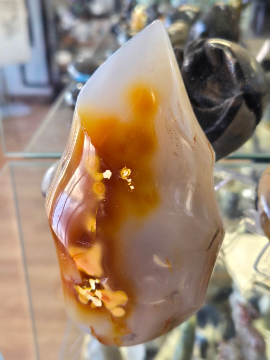 Carnelian FIV