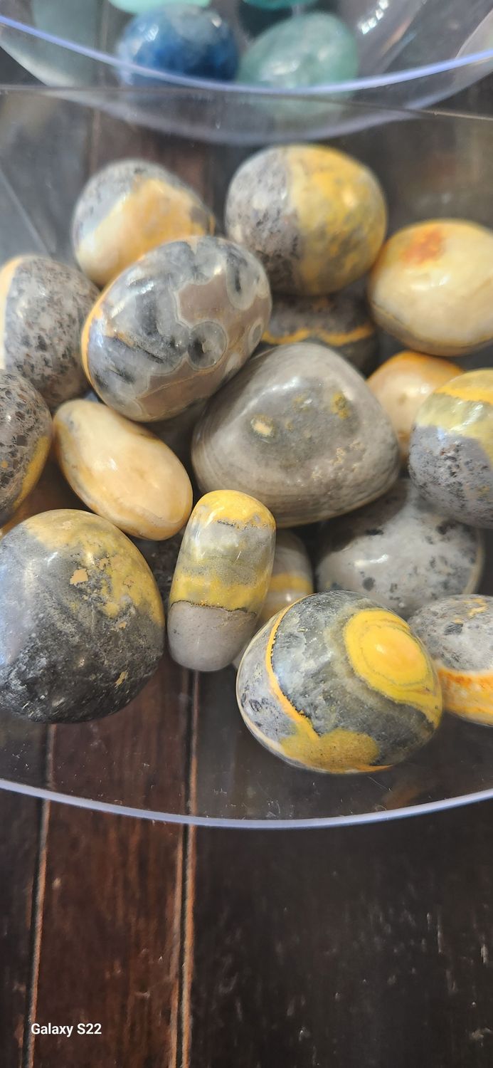 Bumblebee Jasper Tumbles
