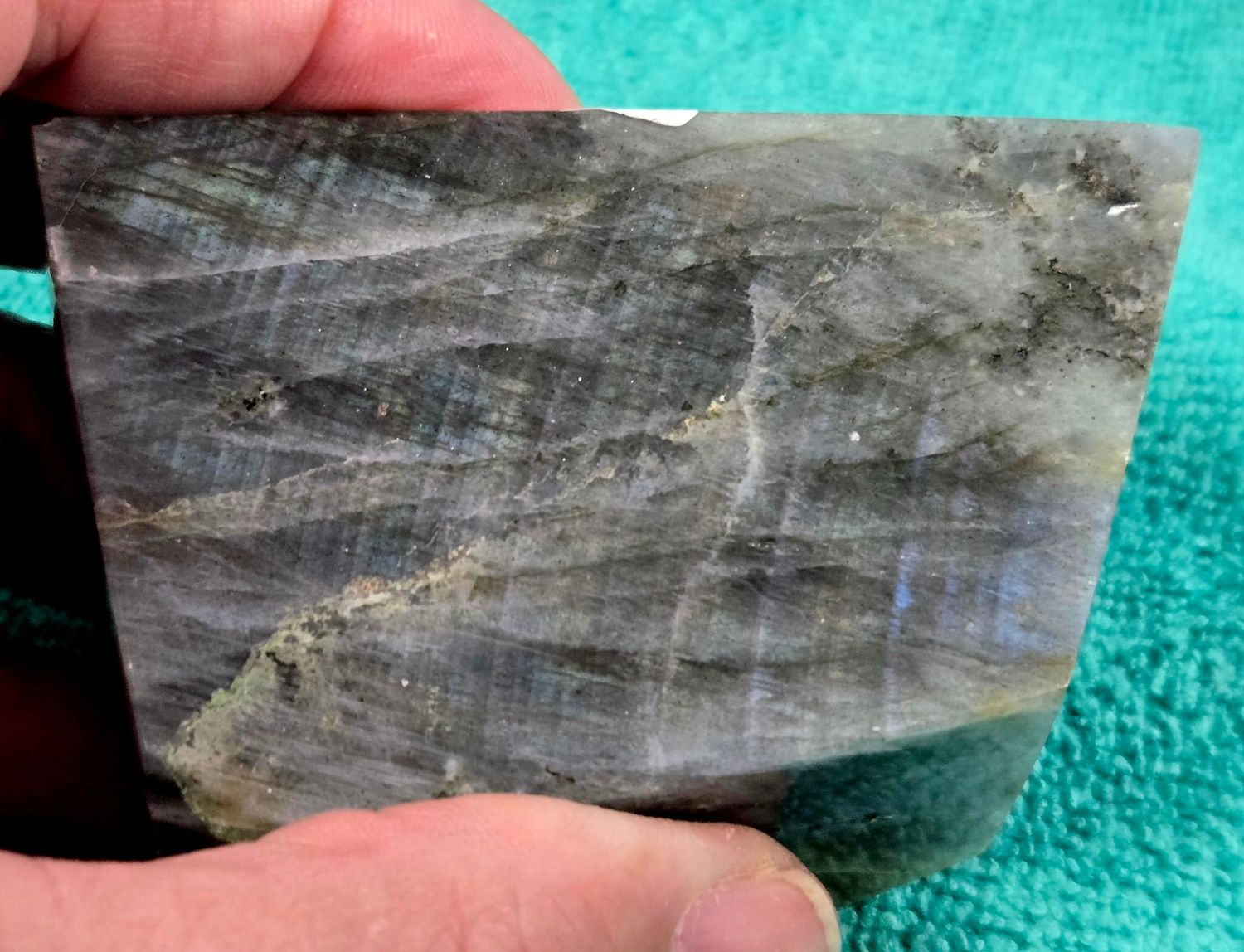 Labradorite Lavender F II
