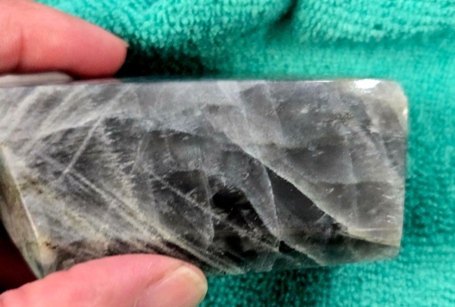 Labradorite Lavender F III