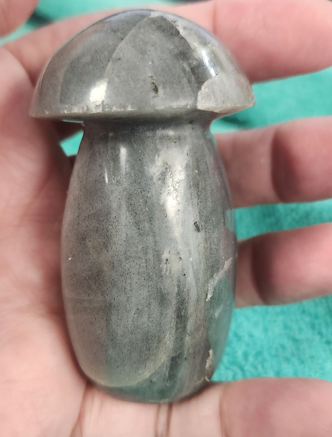 Labradorite Mushrooms I