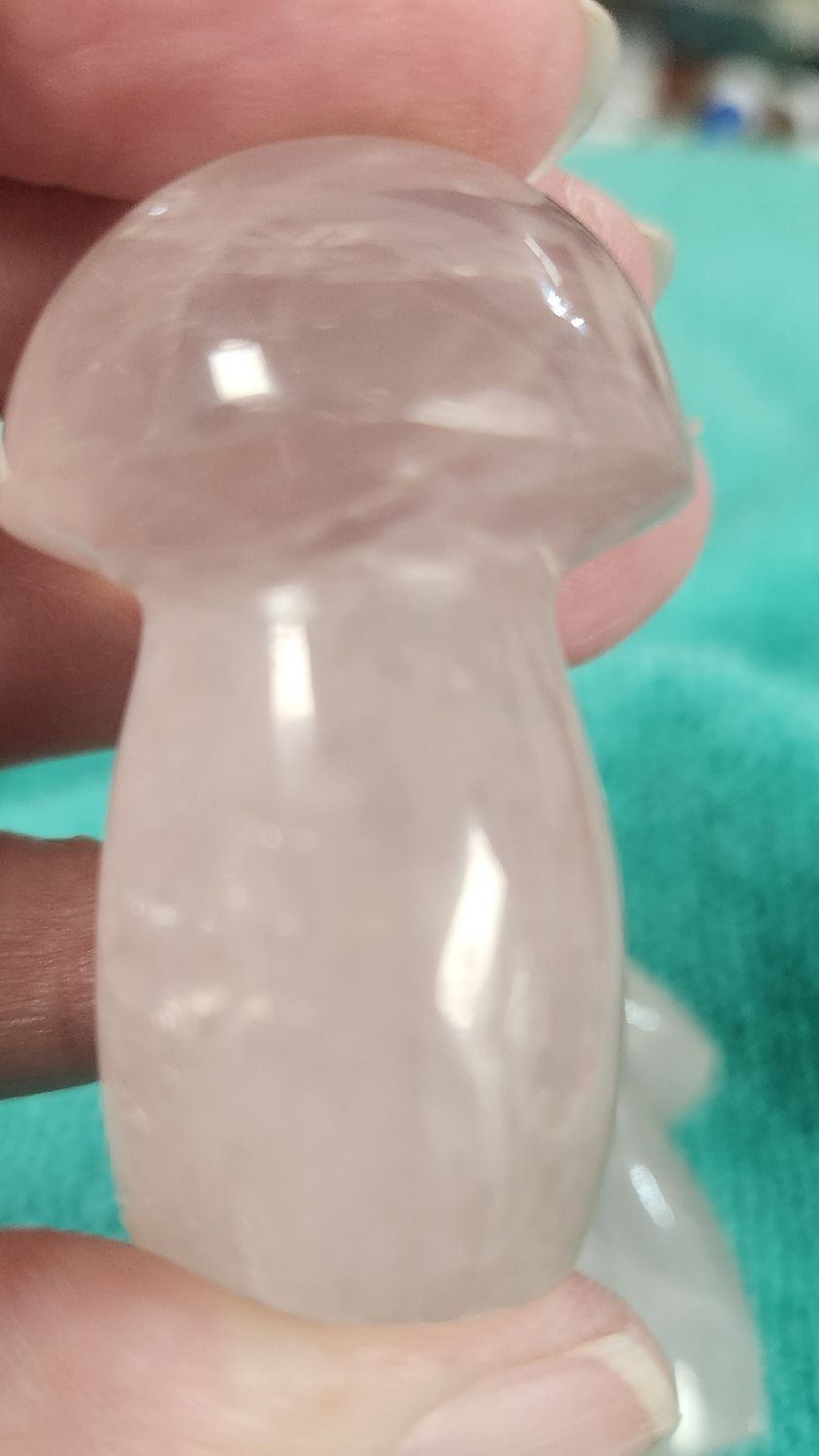 Rose Quartz Mushrooms I