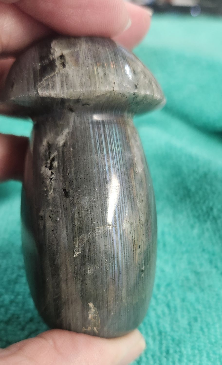 Labradorite Mushrooms I