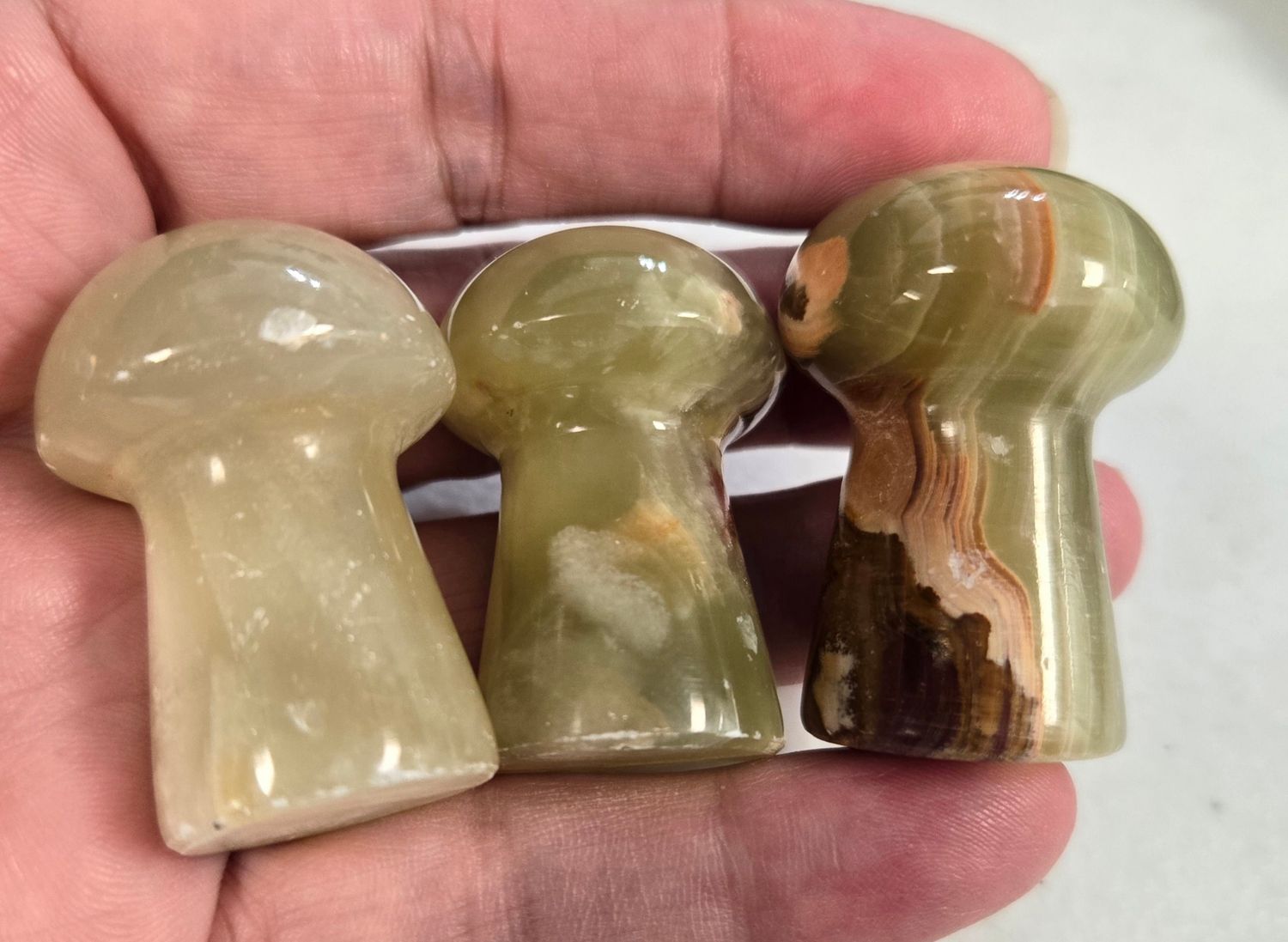 Onyx Mushrooms I