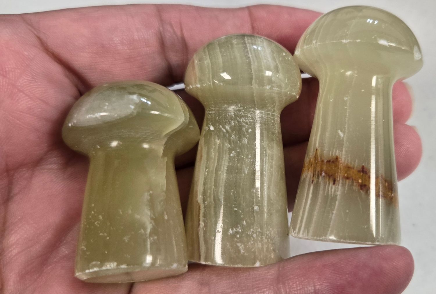 Onyx Mushrooms II