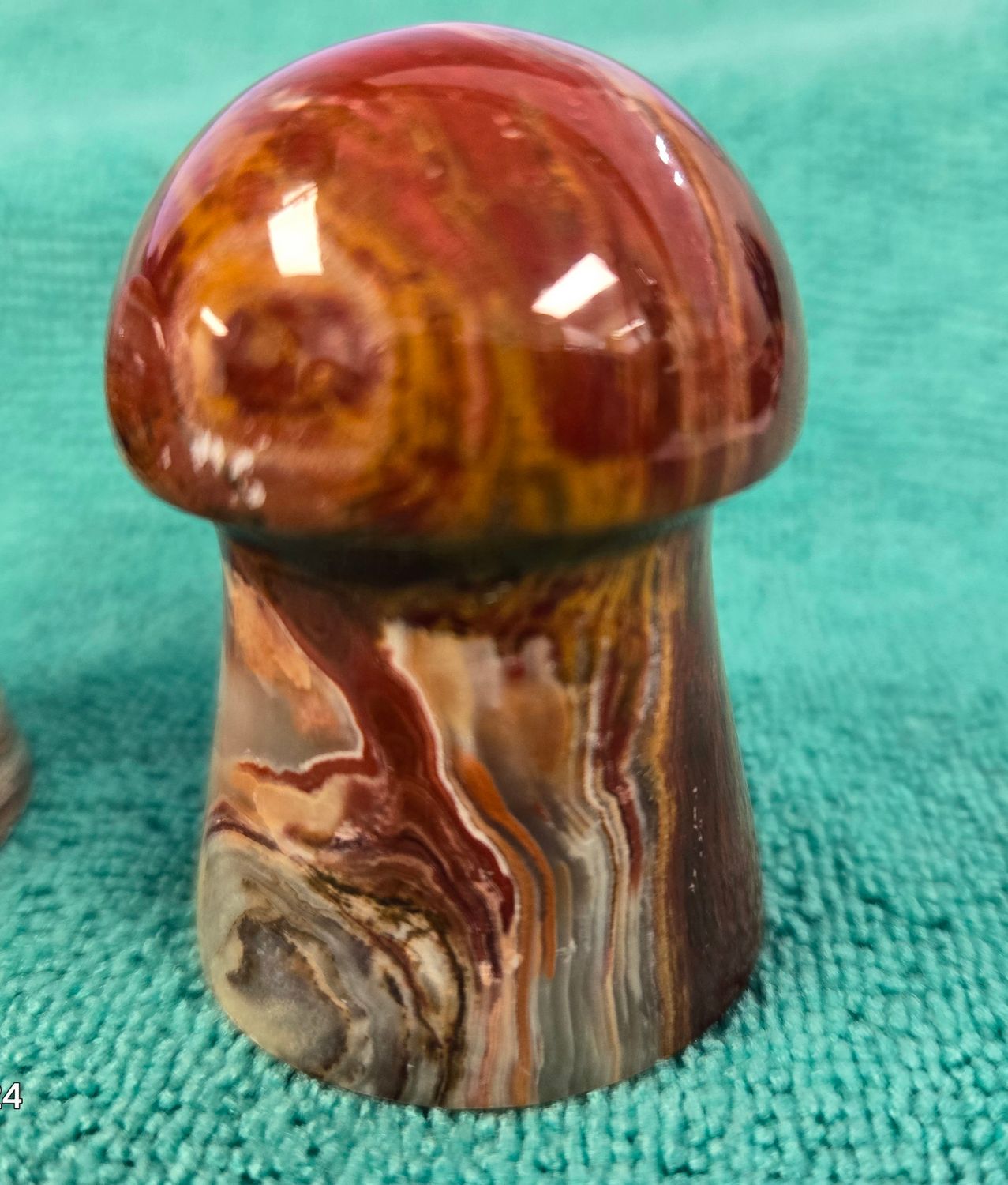 Onyx Mushrooms III