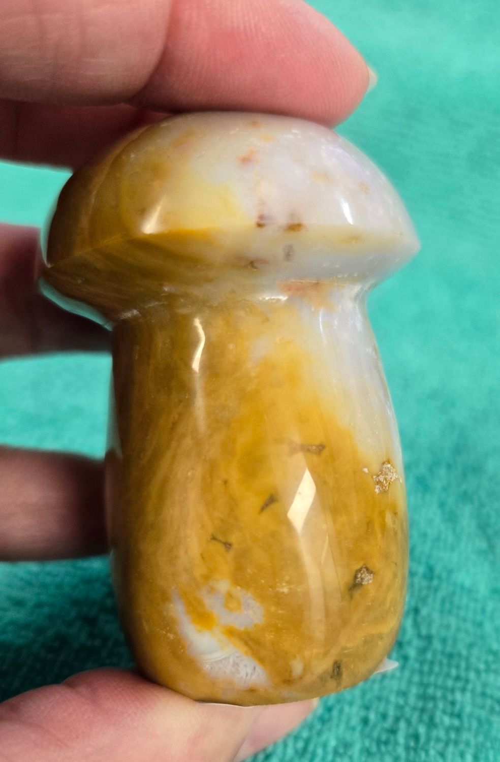 Jasper Mushrooms I