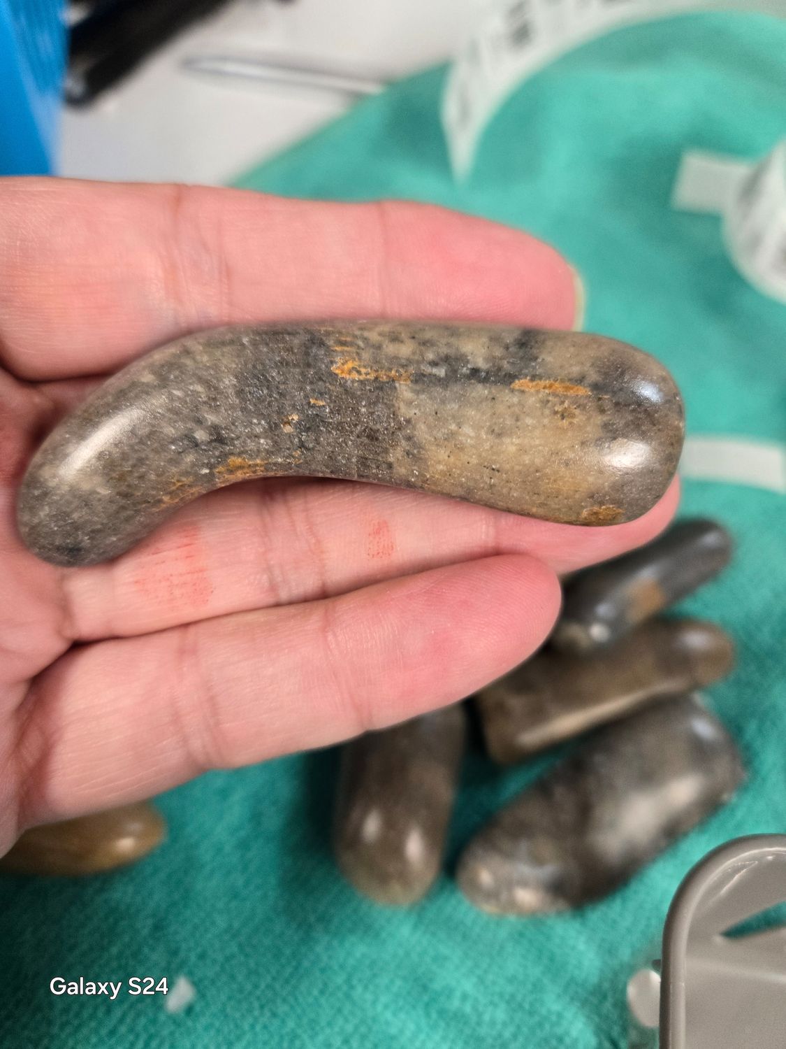 Fossil- Coral OK, Bartlesville