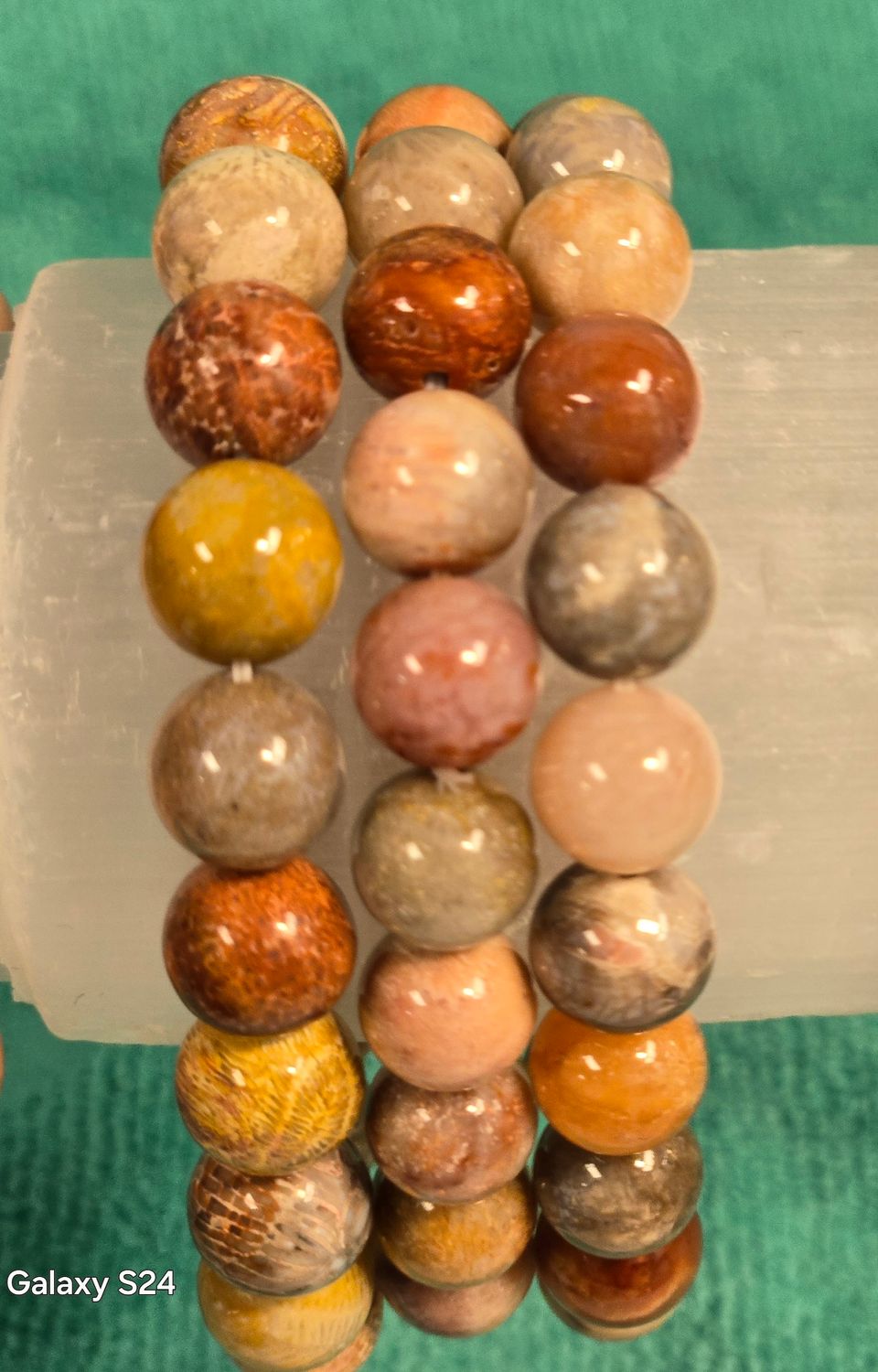 Fossil Coral Bracelet