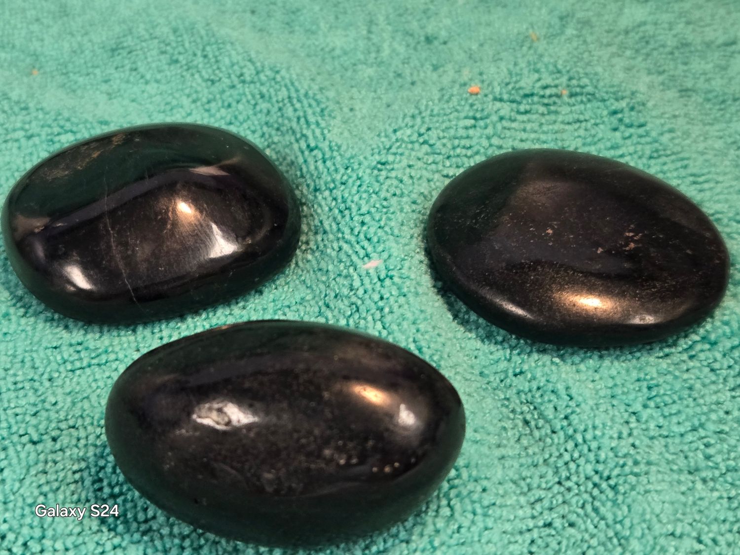 Black Tourmaline Palm III