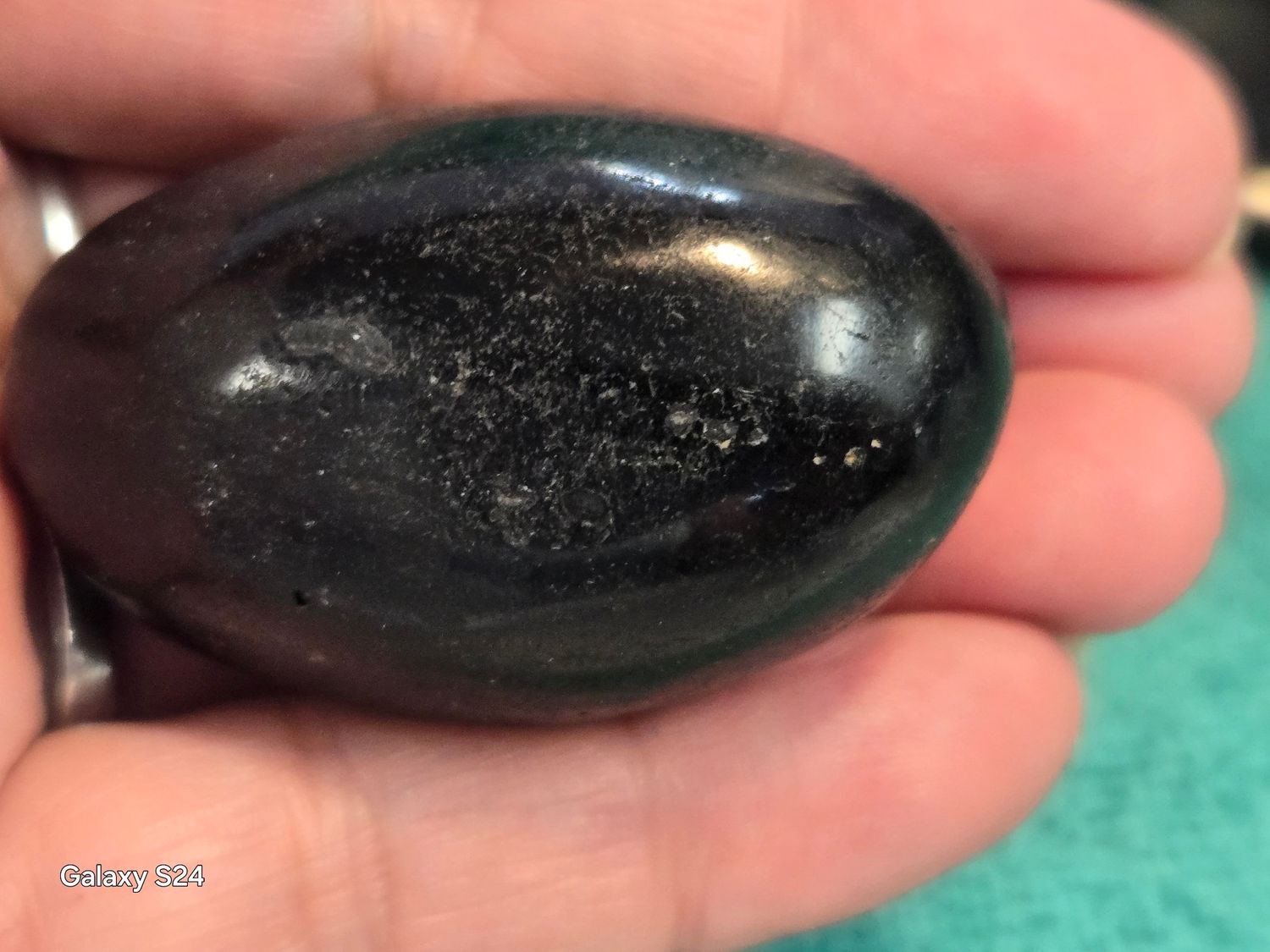 Black Tourmaline Palm II
