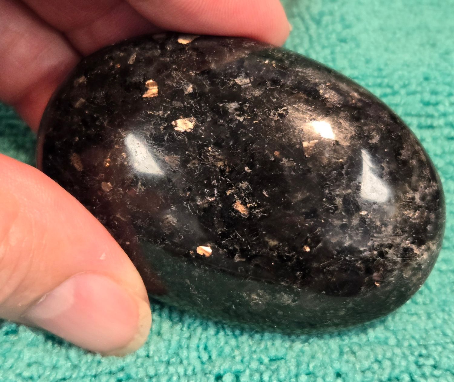 Coppernite I Palm