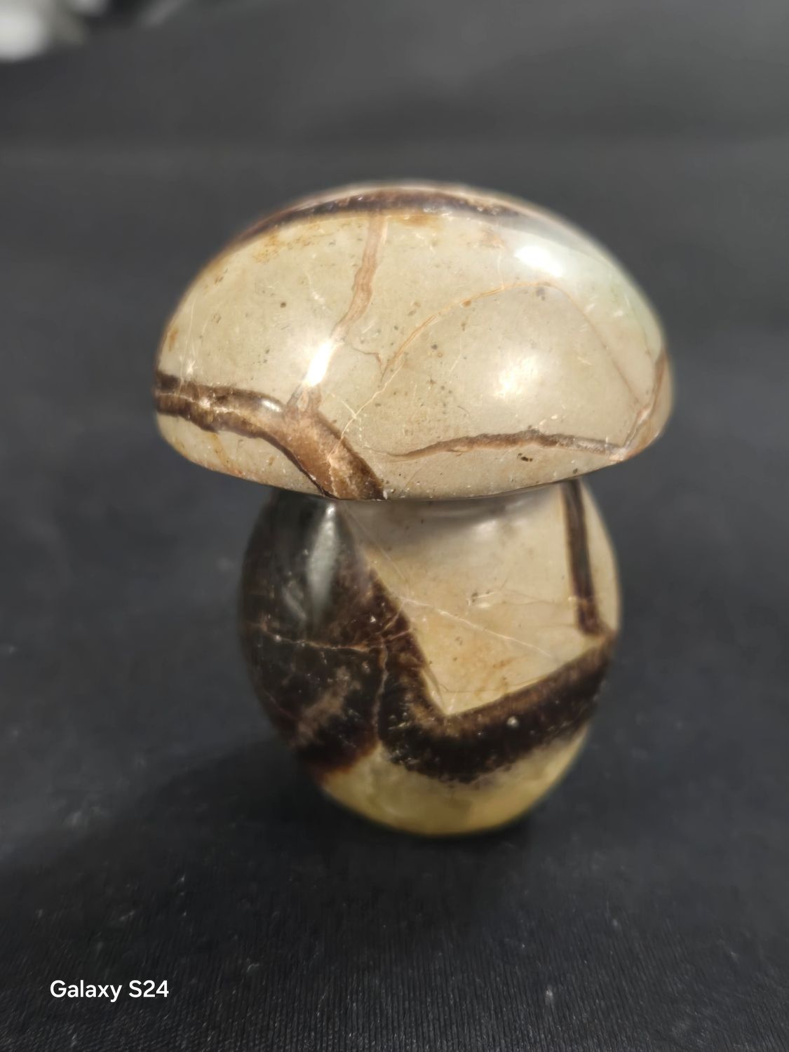 Septarian 64 mm