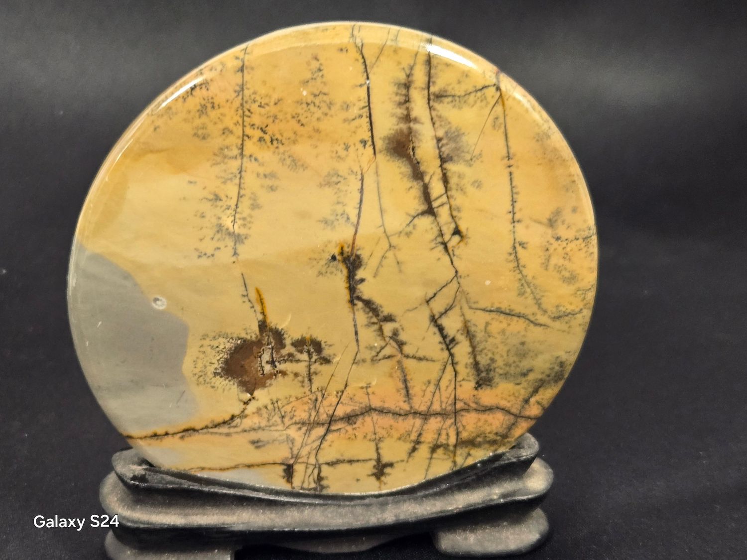 Picture Jasper